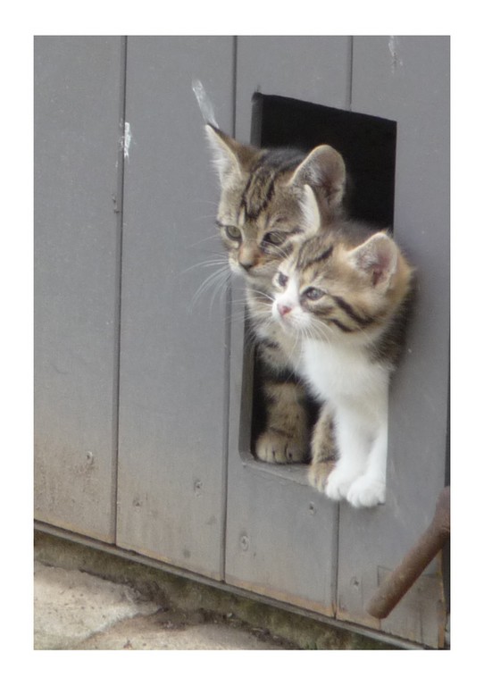 coquin et billy.html