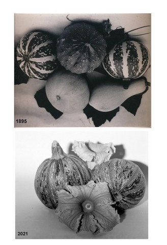 charles jones-2.html