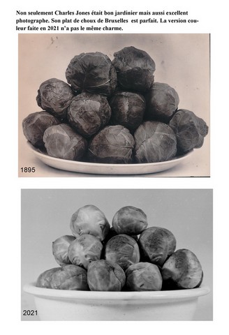 charles jones-4.html