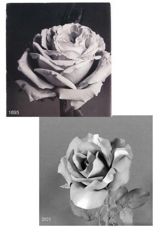 charles jones-7.html