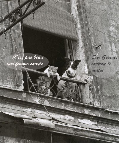 concierges a l'affut