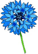 fleur-2.html