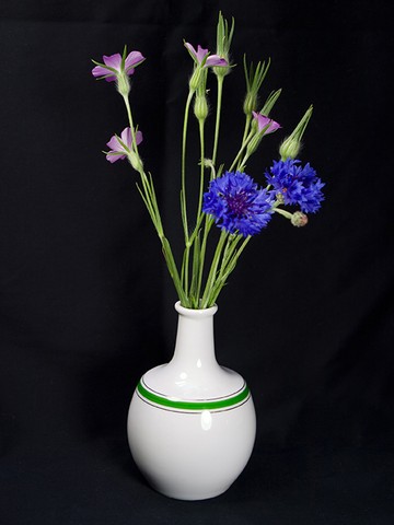 fleurs des champs.html