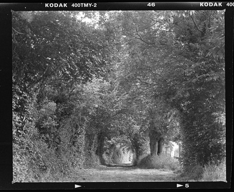 mon petit chemin au RZ.html