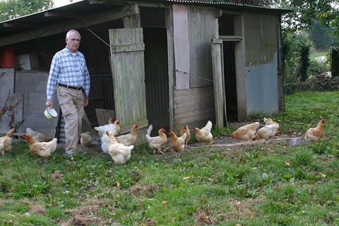 moi et mes poules.html